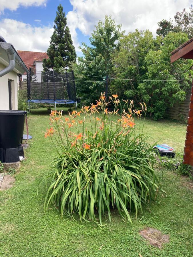 Ferienhaus Stralsundia 外观 照片