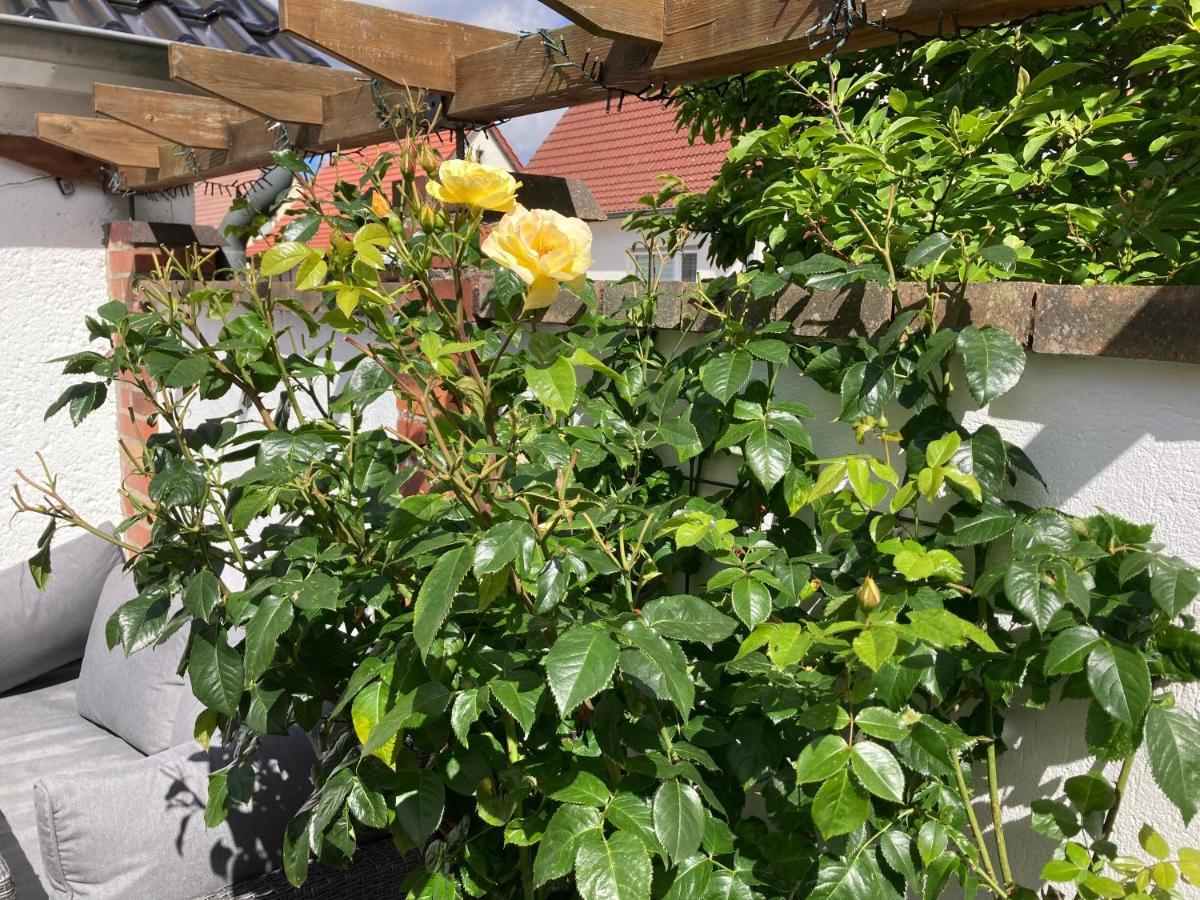 Ferienhaus Stralsundia 外观 照片