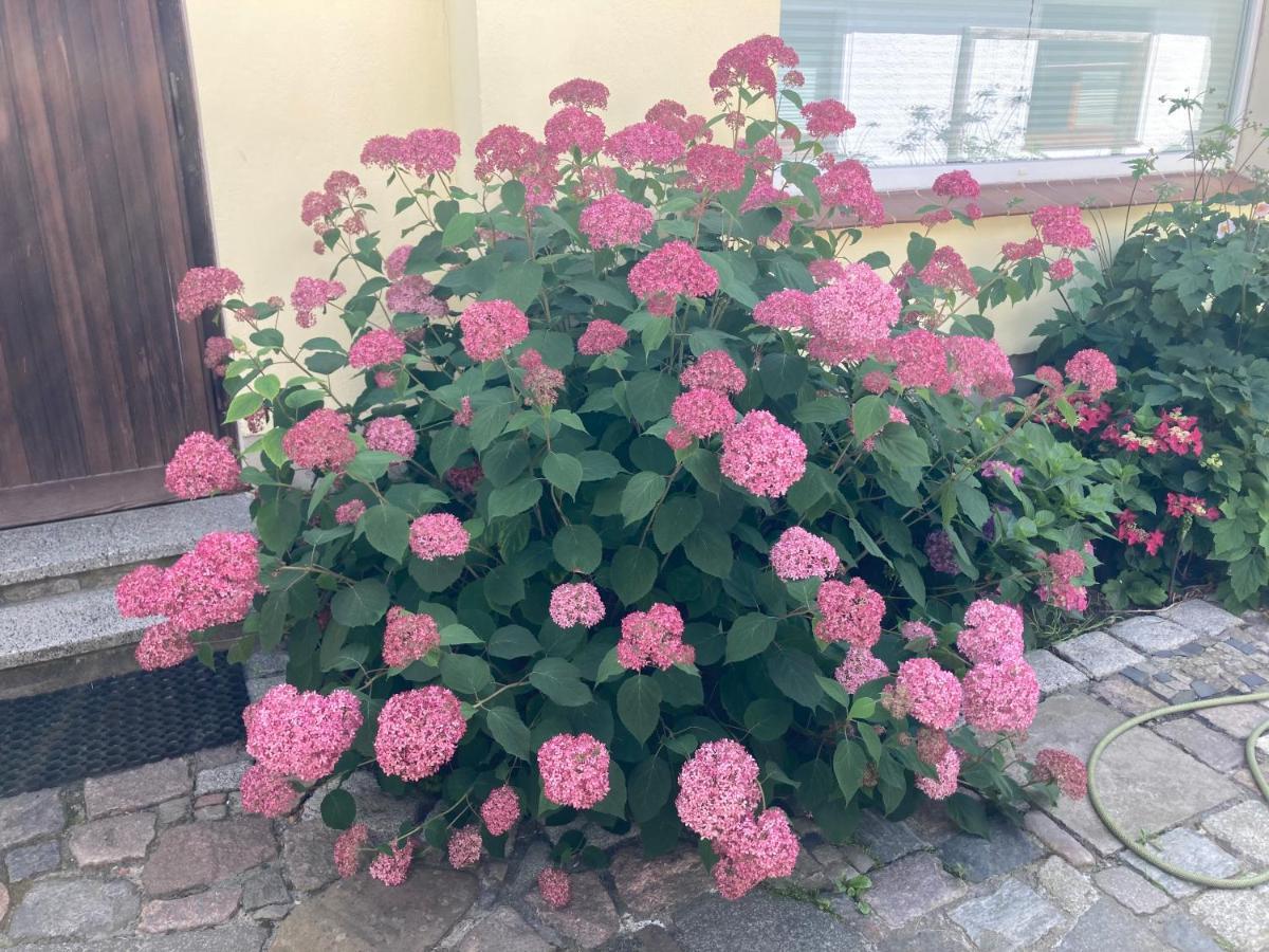 Ferienhaus Stralsundia 外观 照片